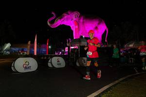 BIB: 
                            <button type="button" onclick="openModal(26542833)" class="btn btn-primary btn-sm float-right btn-popup" data-toggle="modal" data-target=".modal-high-quality">
                        <i class="fas fa-shopping-cart"></i> Add to Cart
                    </button>
                                            <button type="button" onclick="isThisMe(26542833, true)" class="btn btn-success btn-sm float-right btn-popup btn-isme hidden" data-toggle="tooltip" data-placement="bottom" title="นี่คือรูปของคุณใช่ไหม คลิกที่นี่เพื่อเอาเข้าอัลบั้ม">
                        <i class="fas fa-plus"></i> Add to album
                    </button>
                    <button type="button" onclick="isThisMe(26542833, false)" class="btn btn-warning btn-sm float-right btn-popup btn-isnotme hidden">
                        <i class="fas fa-ban"></i> Remove from album
                    </button>